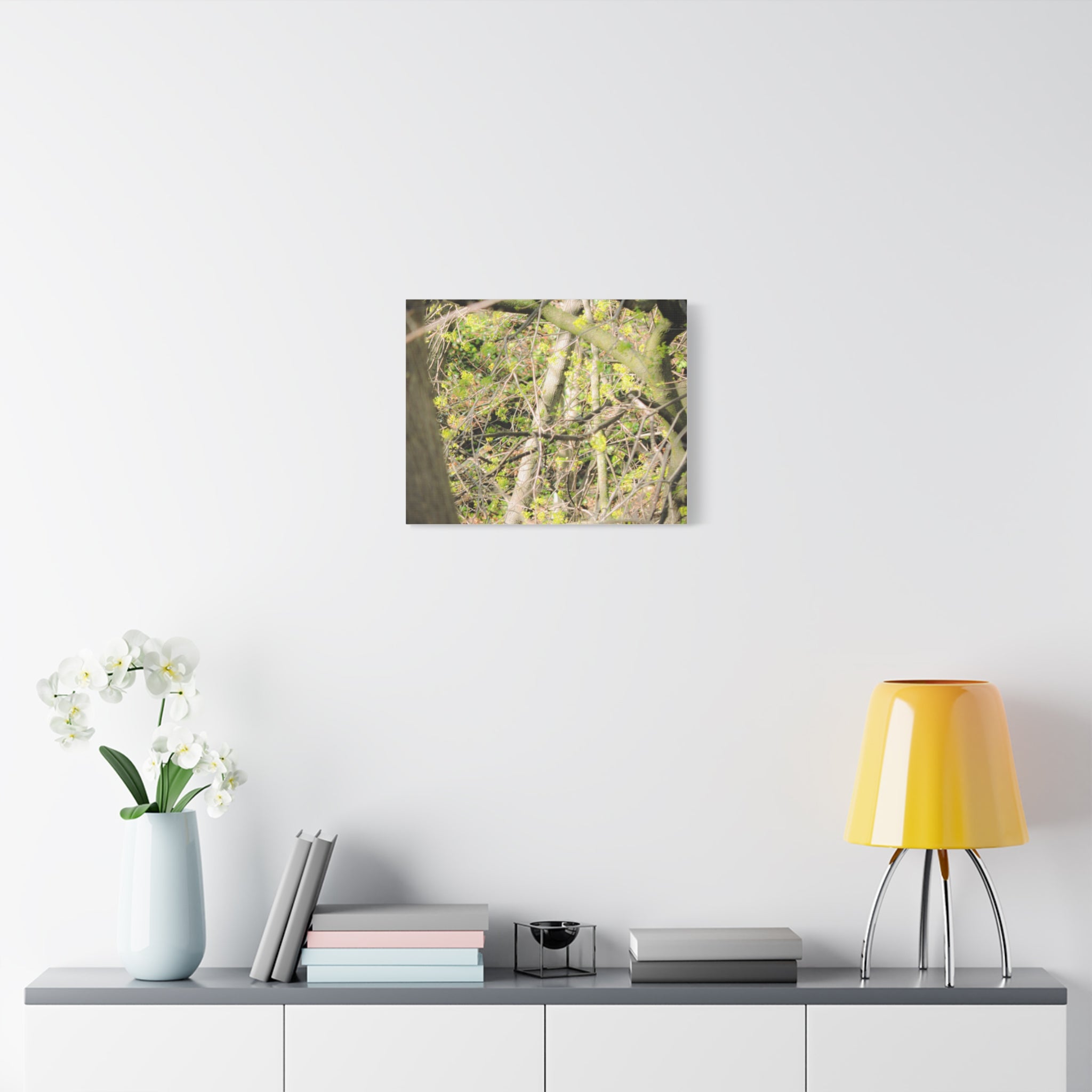 Spring Woodland Canvas Print — Green Tree Branches Matte Stretched Wall Art
