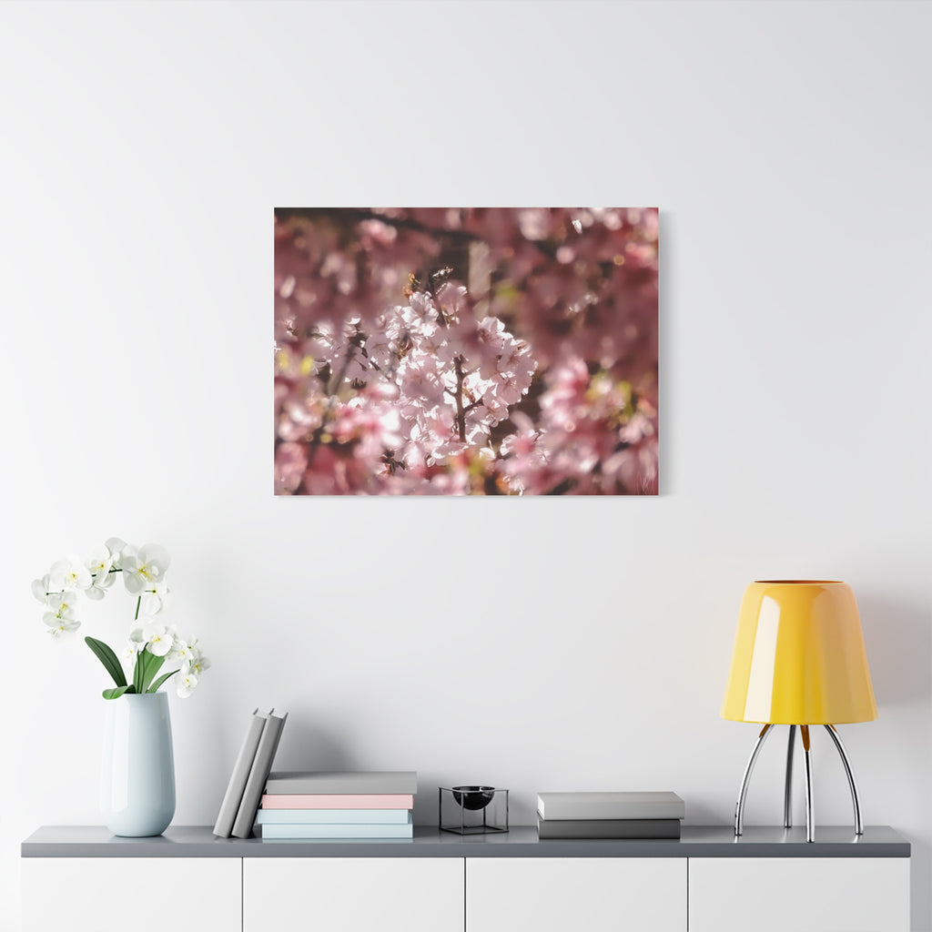 Blush Cherry Blossom Matte Canvas Print — Spring Floral Wall Art (Stretched 1.25")