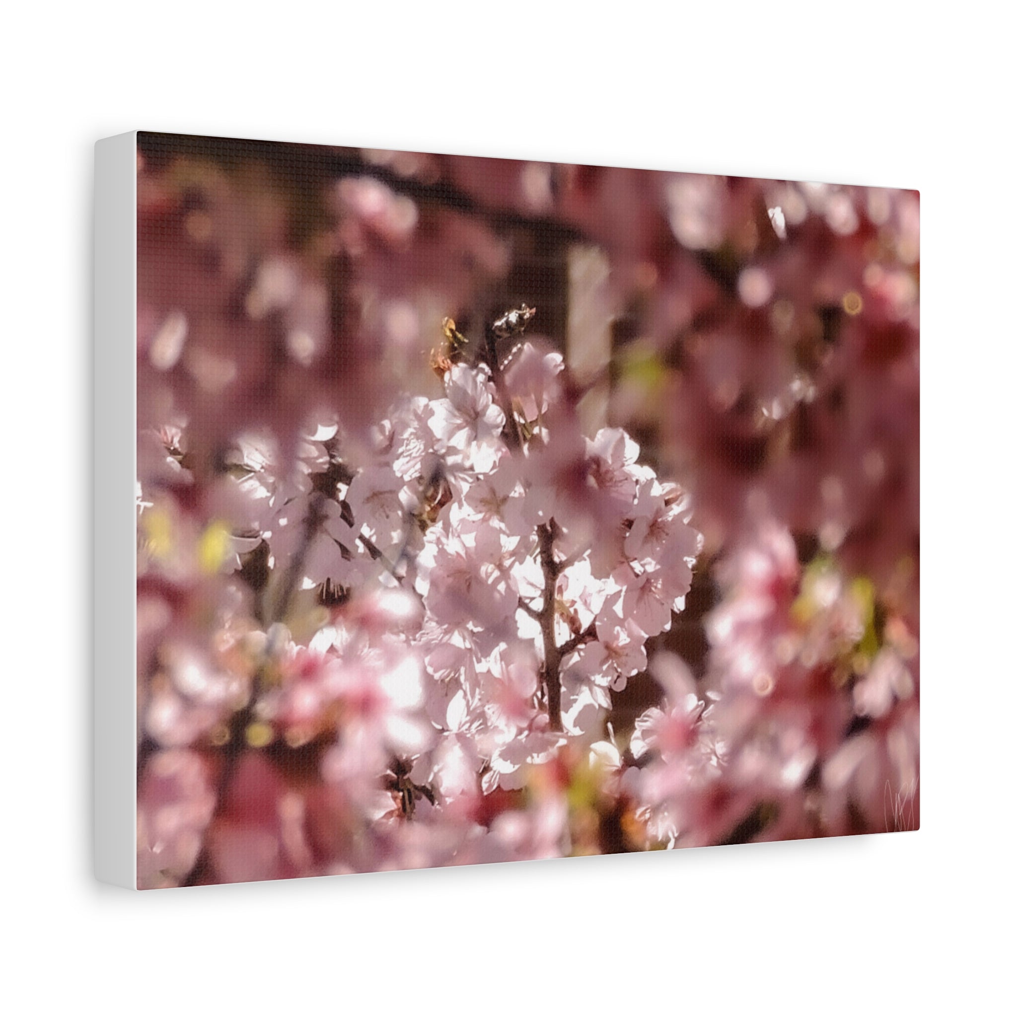 Blush Cherry Blossom Matte Canvas Print — Spring Floral Wall Art (Stretched 1.25")