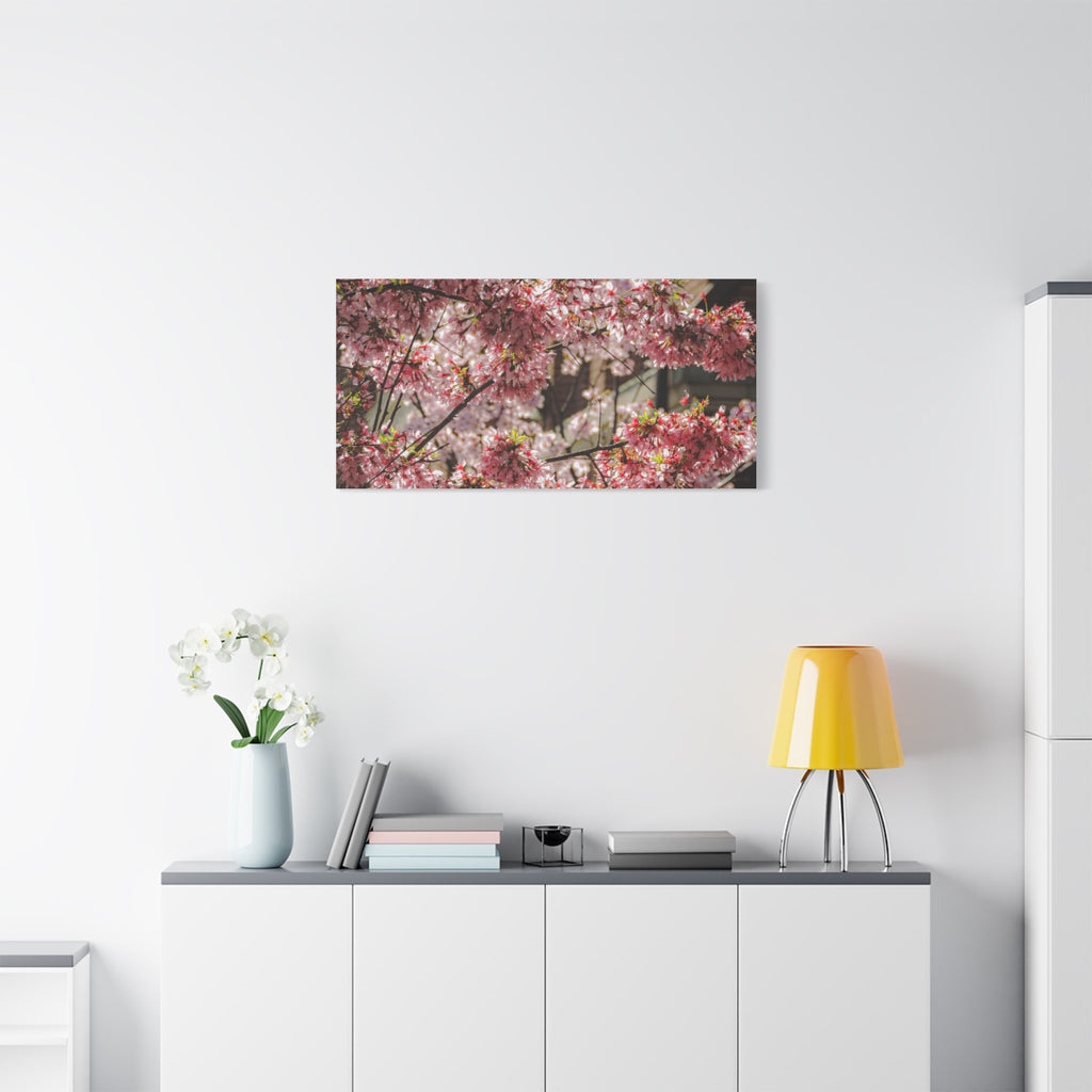 Pink Cherry Blossom Canvas Wall Art — Stretched Matte Floral Print