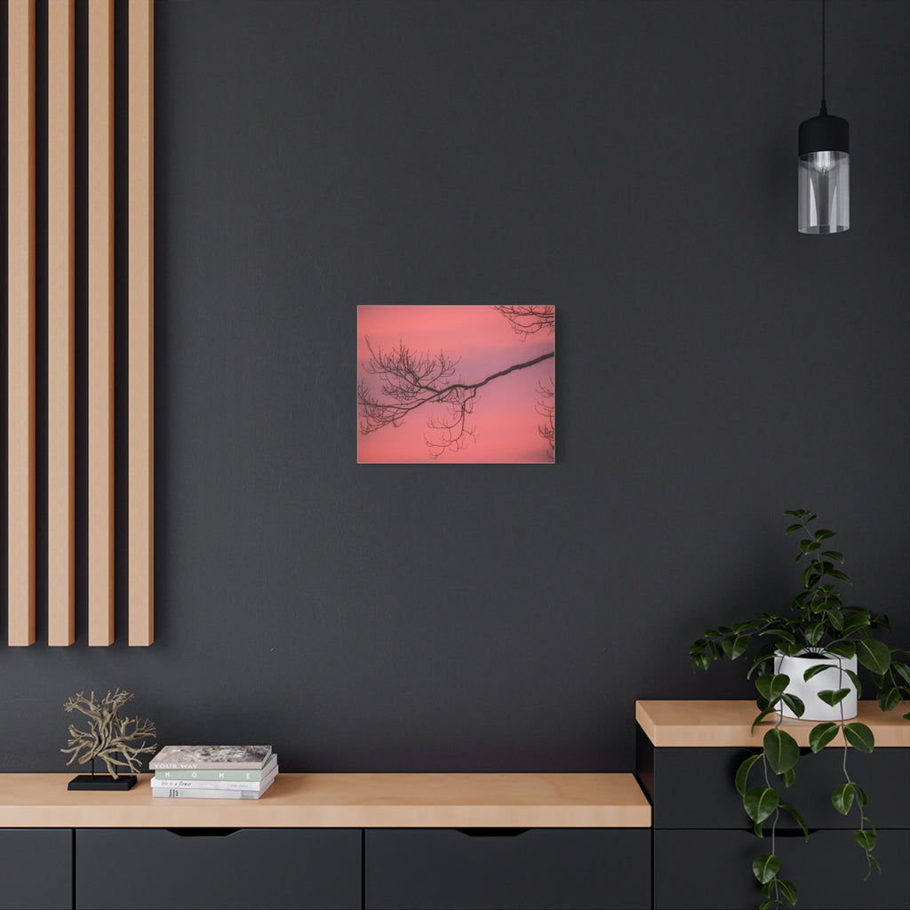 Pink Sunset Tree Canvas Print — Matte Stretched Wall Art