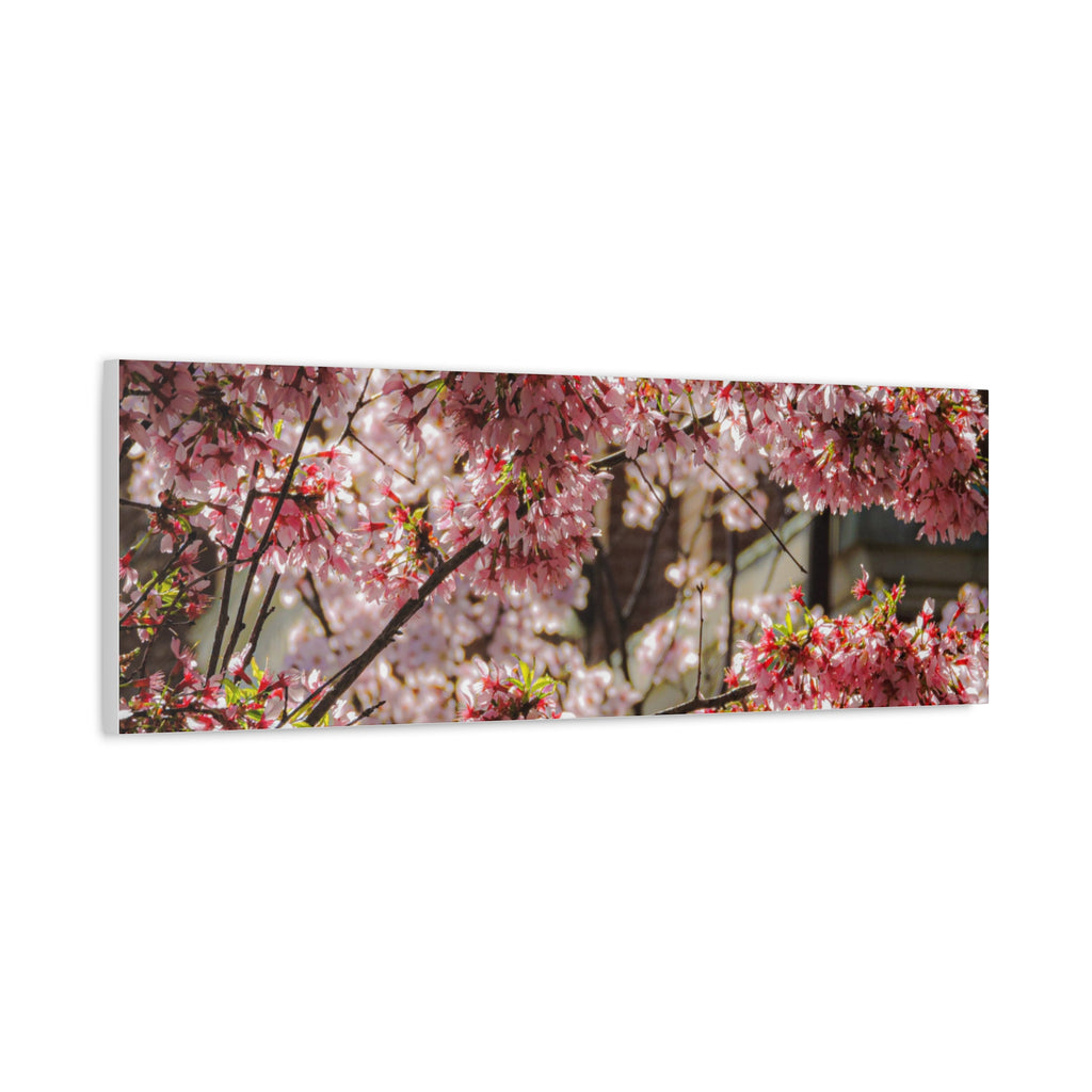 Pink Cherry Blossom Canvas Wall Art — Stretched Matte Floral Print