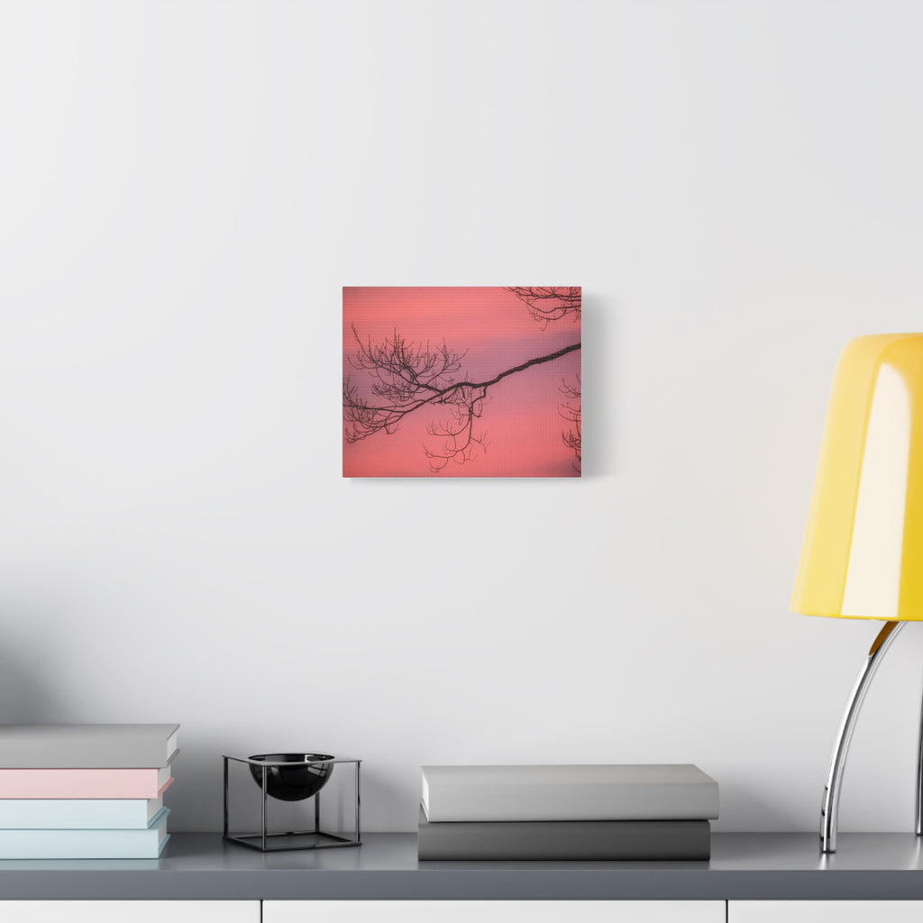 Pink Sunset Tree Canvas Print — Matte Stretched Wall Art