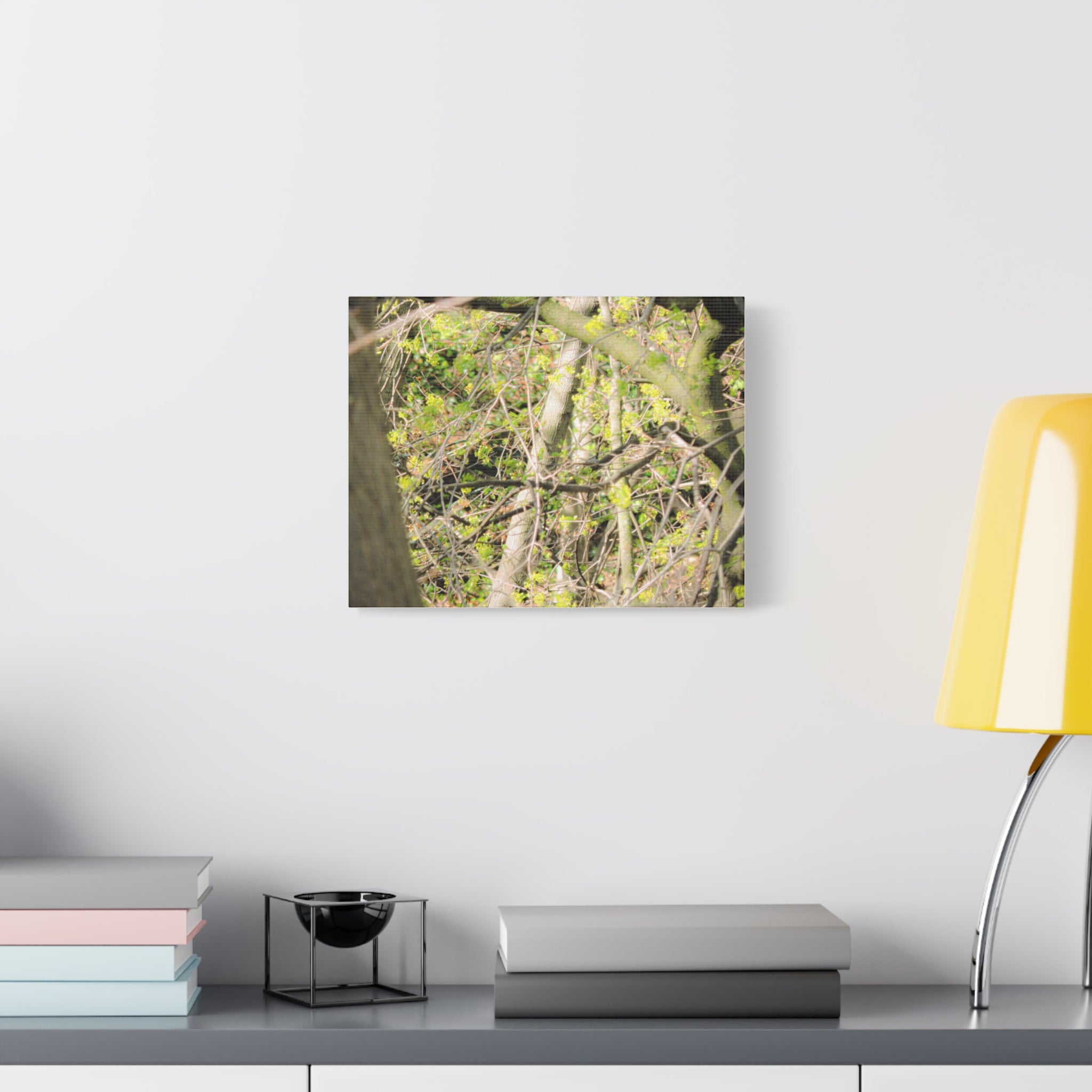 Spring Woodland Canvas Print — Green Tree Branches Matte Stretched Wall Art