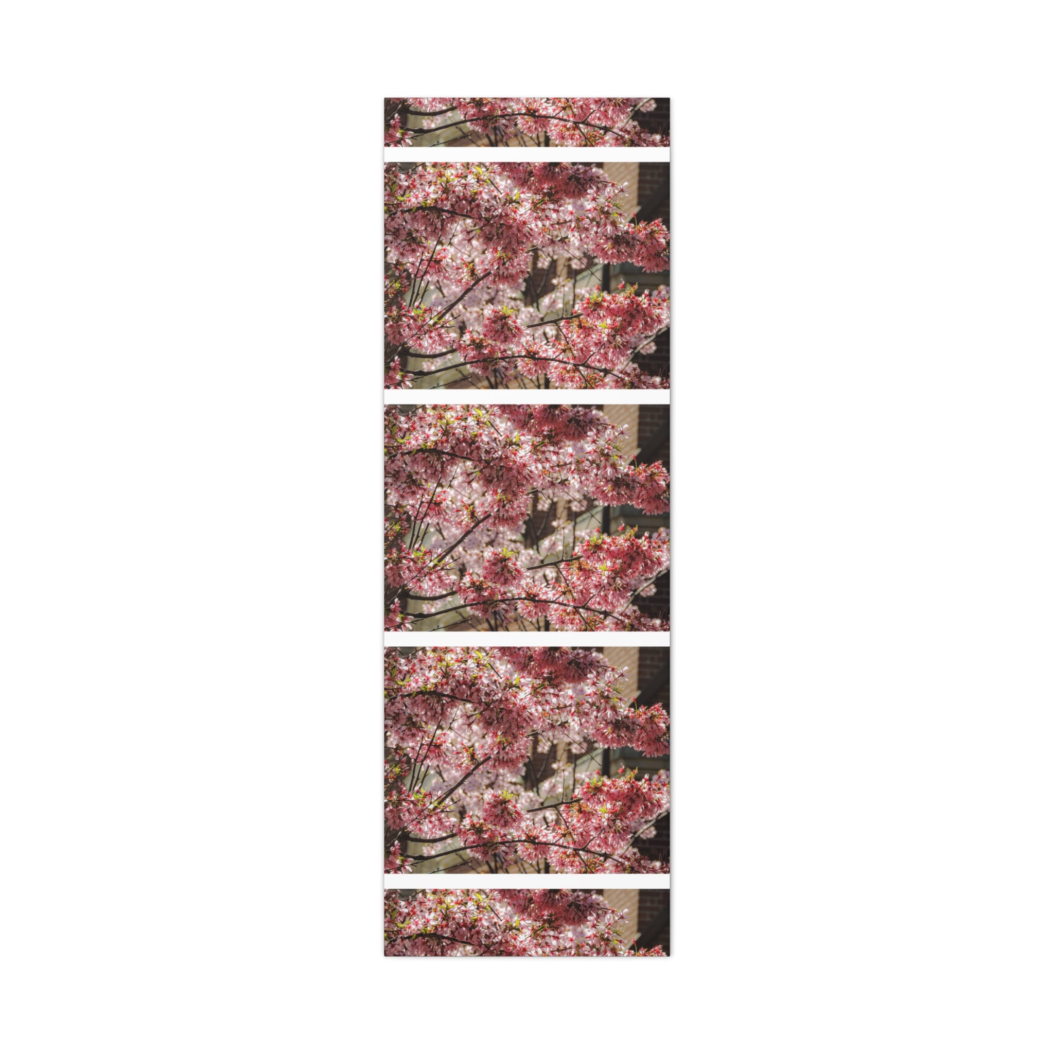 Pink Cherry Blossom Canvas Wall Art — Stretched Matte Floral Print