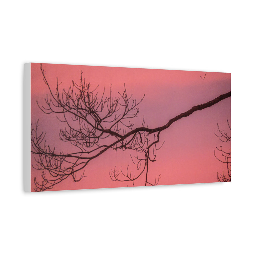 Pink Sunset Tree Canvas Print — Matte Stretched Wall Art