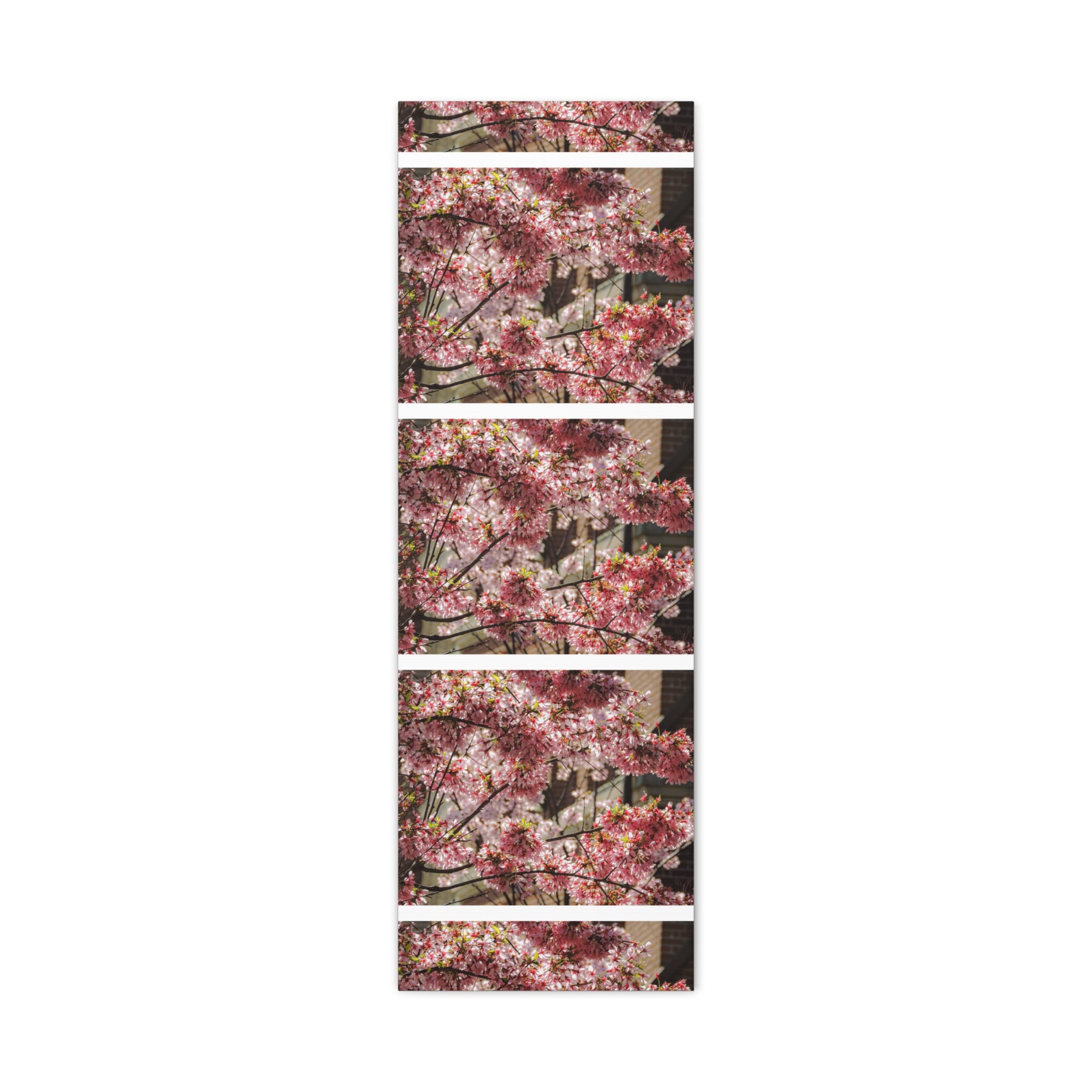 Pink Cherry Blossom Canvas Wall Art — Stretched Matte Floral Print