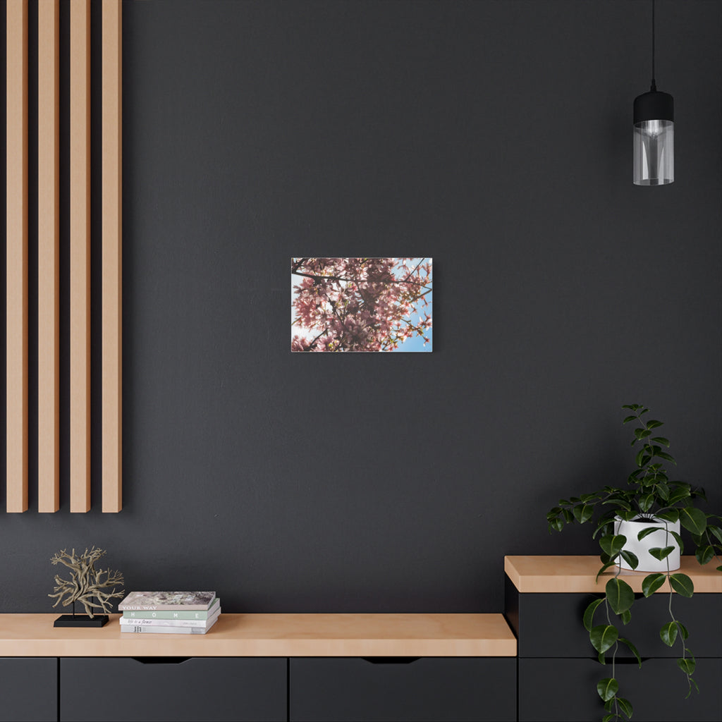 Blossoming Cherry Branches Matte Canvas Print — Spring Floral Wall Art, Stretched 1.25"