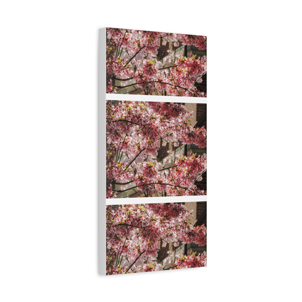 Pink Cherry Blossom Canvas Wall Art — Stretched Matte Floral Print