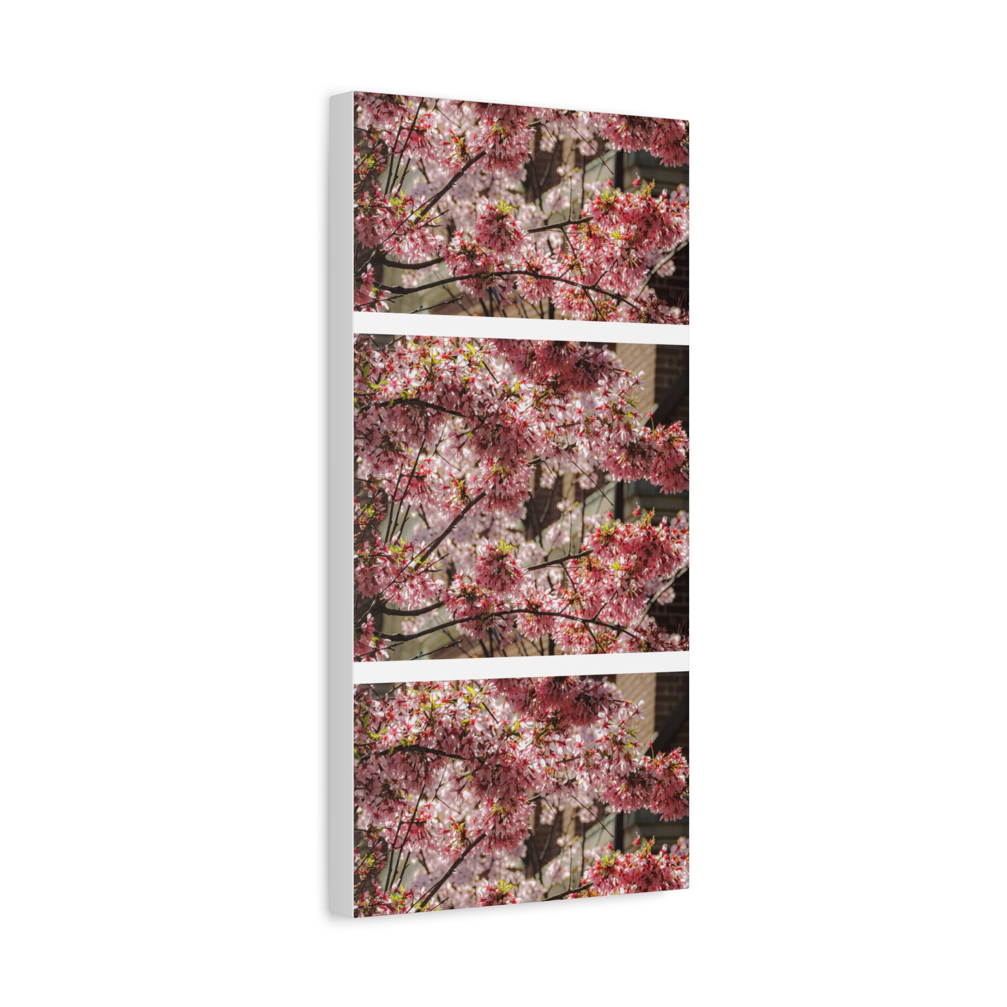 Pink Cherry Blossom Canvas Wall Art — Stretched Matte Floral Print