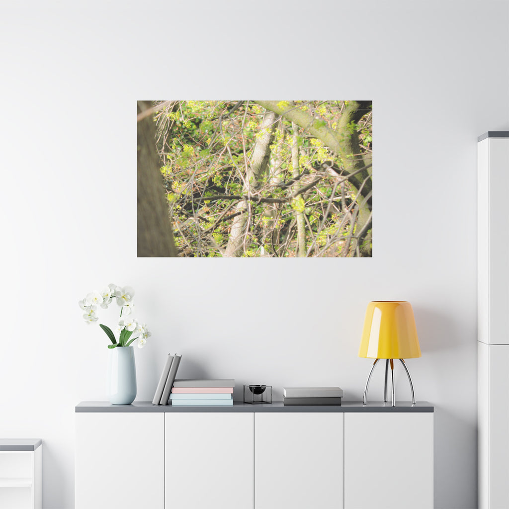 Spring Woodland Canvas Print — Green Tree Branches Matte Stretched Wall Art