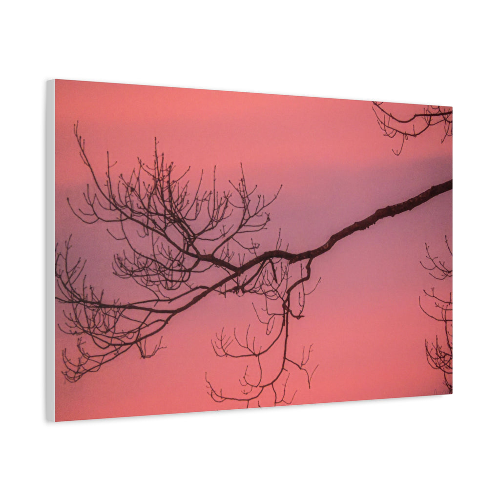 Pink Sunset Tree Canvas Print — Matte Stretched Wall Art