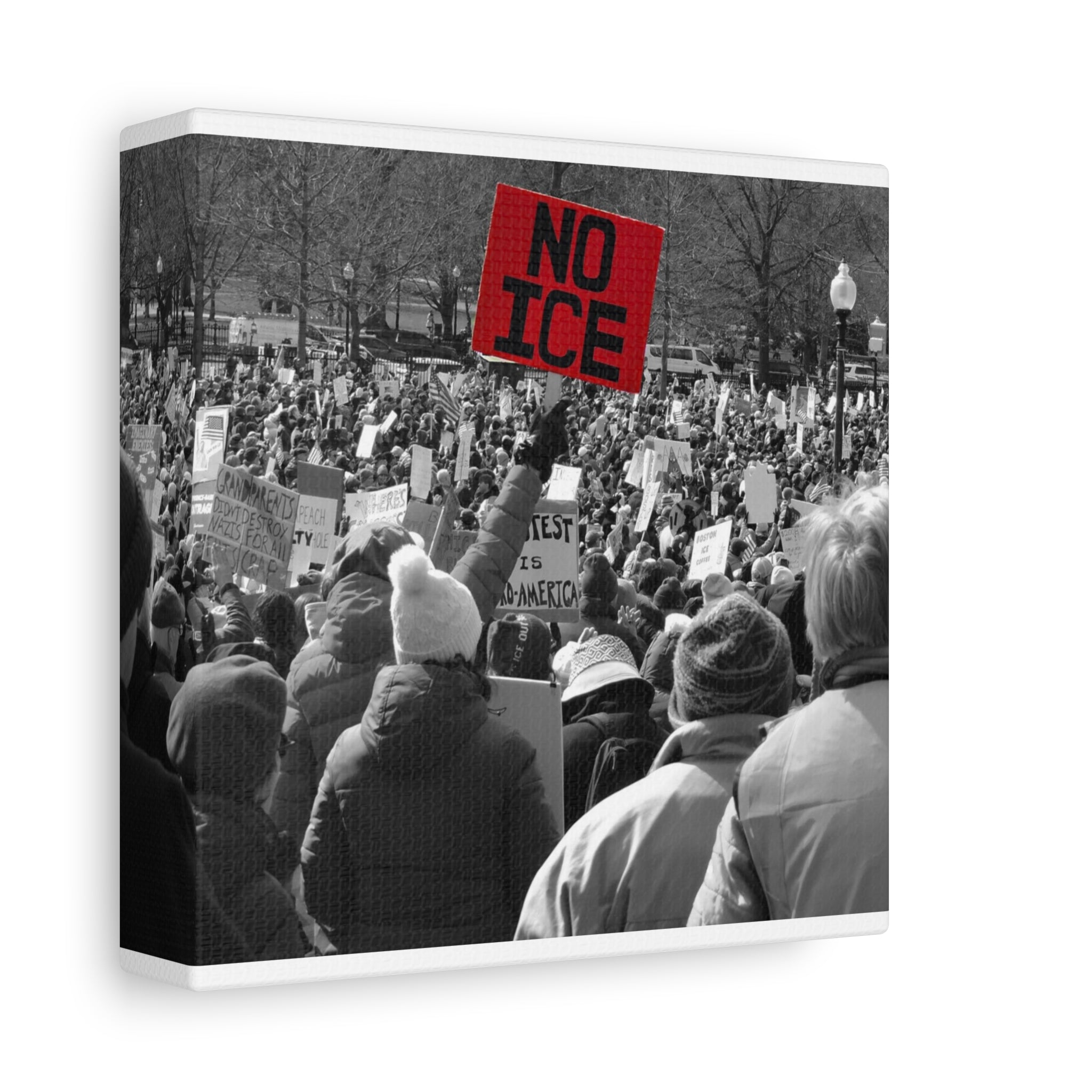 NO ICE in the Crowd — Documentary Matte Canvas