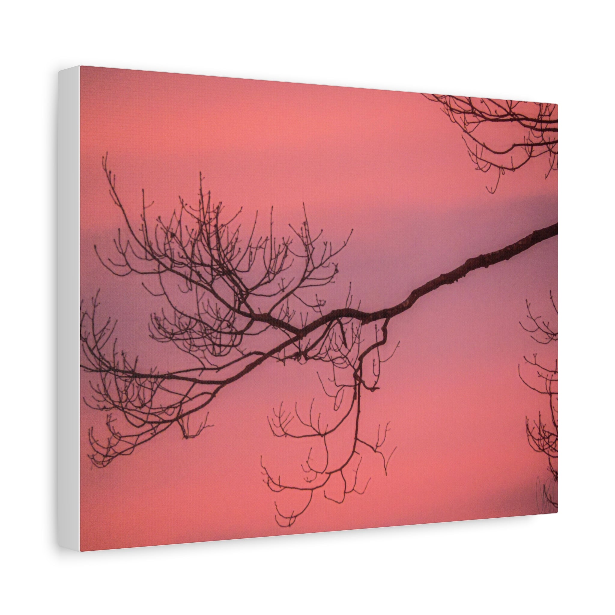 Pink Sunset Tree Canvas Print — Matte Stretched Wall Art