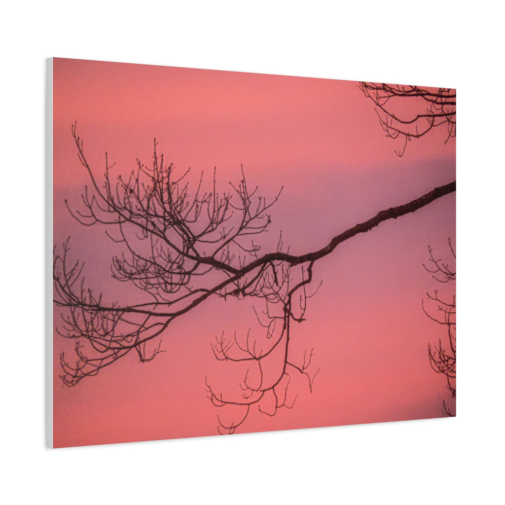 Pink Sunset Tree Canvas Print — Matte Stretched Wall Art