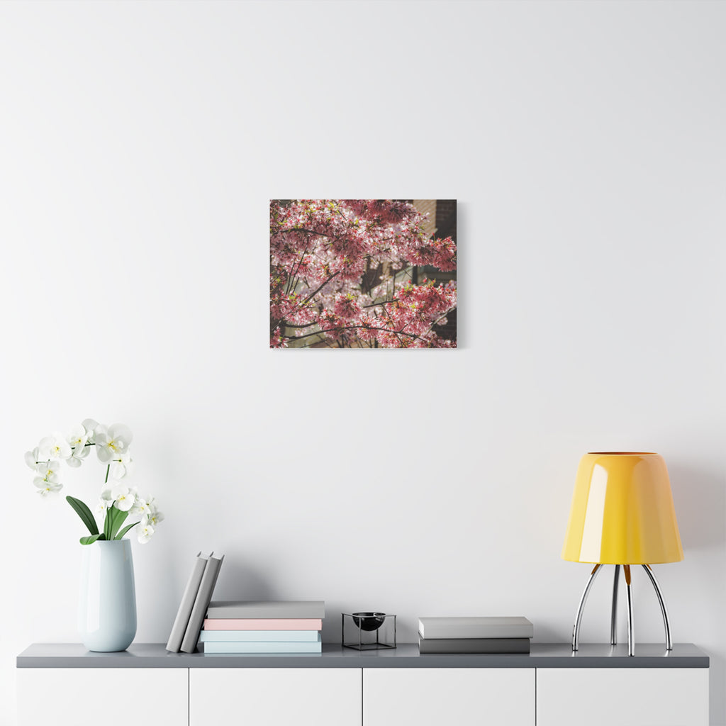 Pink Cherry Blossom Canvas Wall Art — Stretched Matte Floral Print