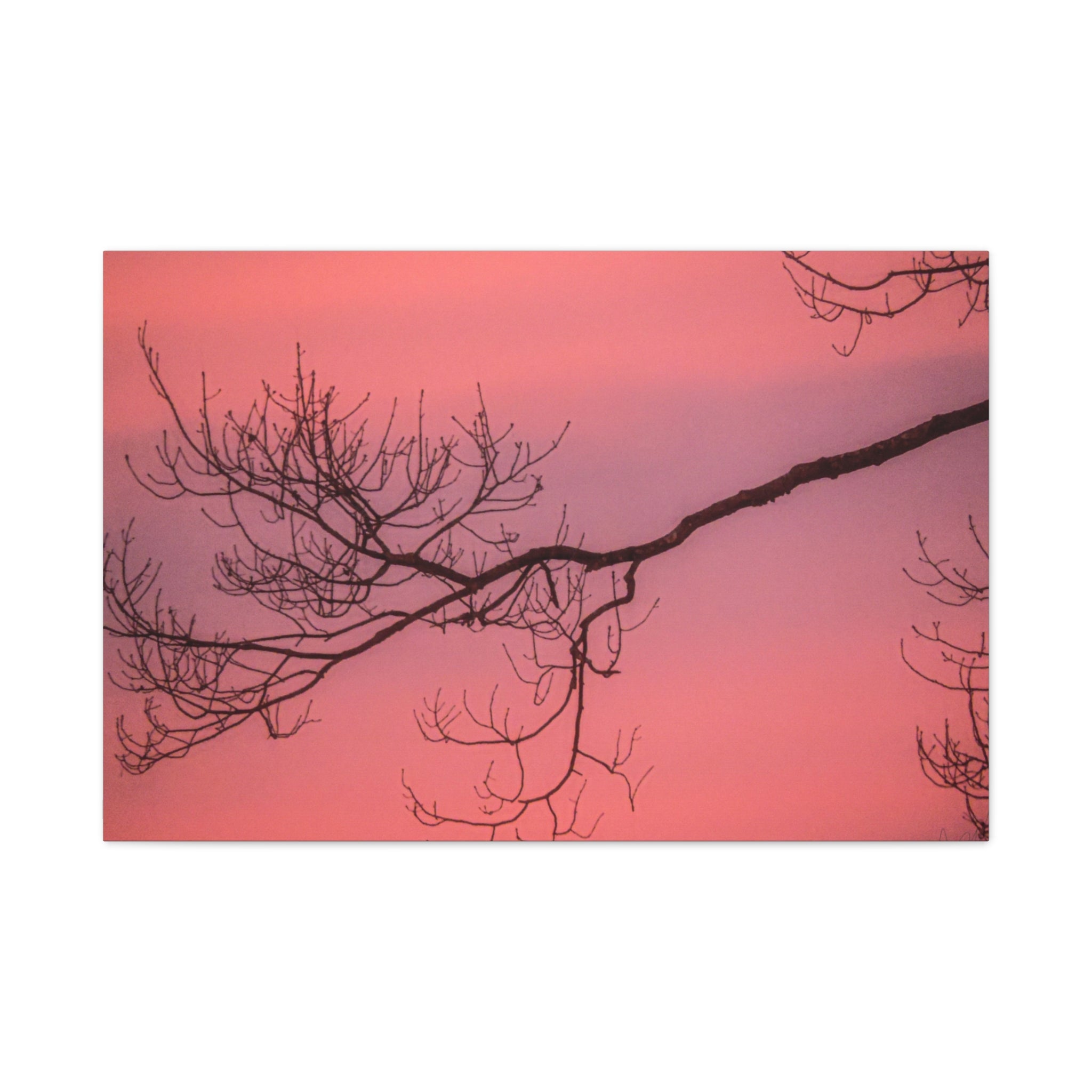 Pink Sunset Tree Canvas Print — Matte Stretched Wall Art
