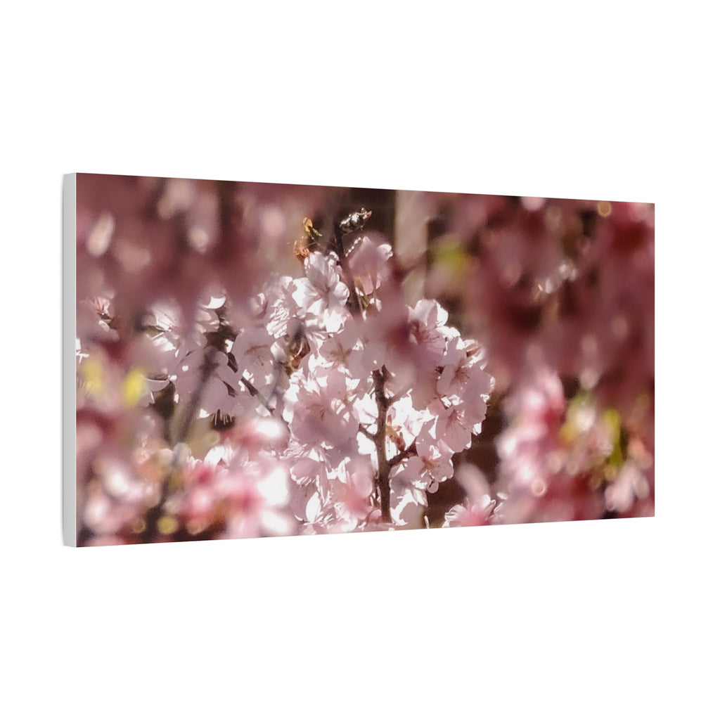 Blush Cherry Blossom Matte Canvas Print — Spring Floral Wall Art (Stretched 1.25")