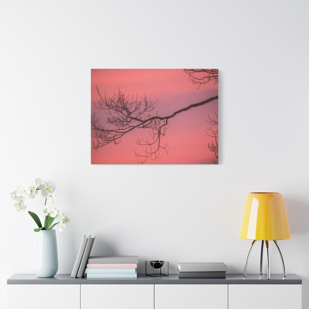 Pink Sunset Tree Canvas Print — Matte Stretched Wall Art