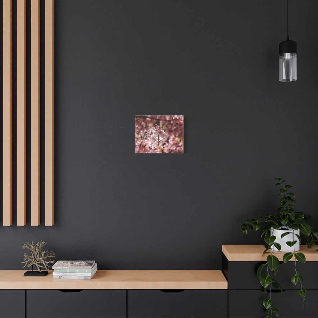 Blush Cherry Blossom Matte Canvas Print — Spring Floral Wall Art (Stretched 1.25")