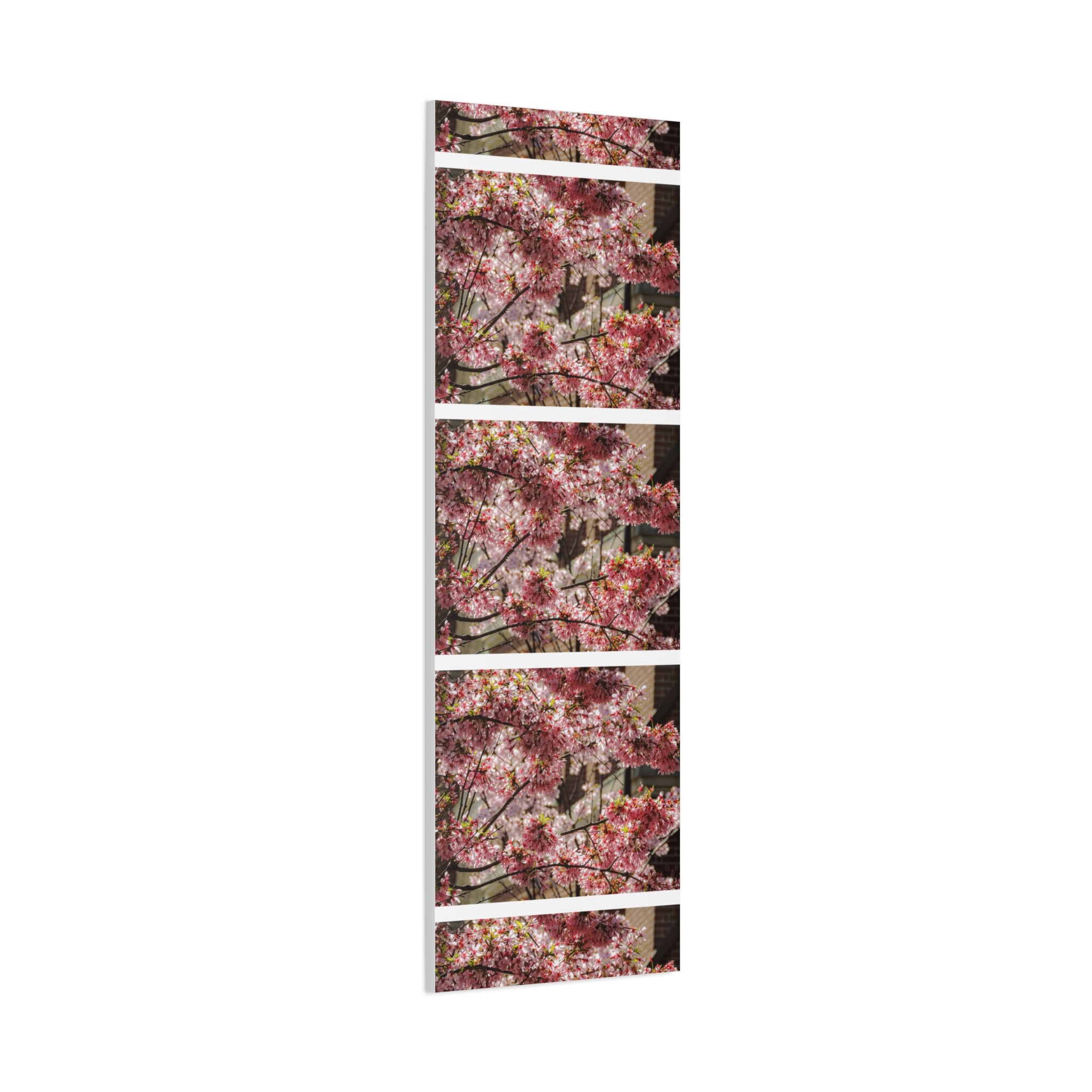 Pink Cherry Blossom Canvas Wall Art — Stretched Matte Floral Print