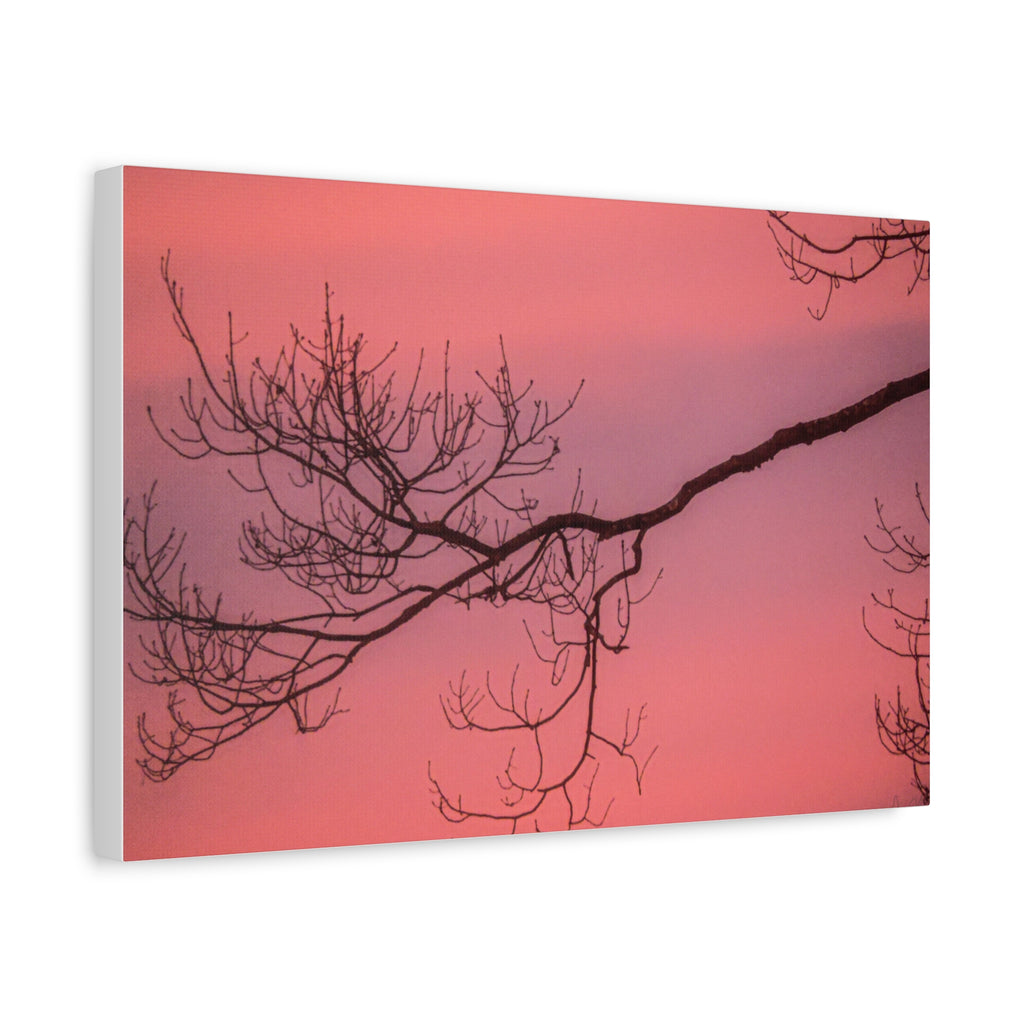 Pink Sunset Tree Canvas Print — Matte Stretched Wall Art