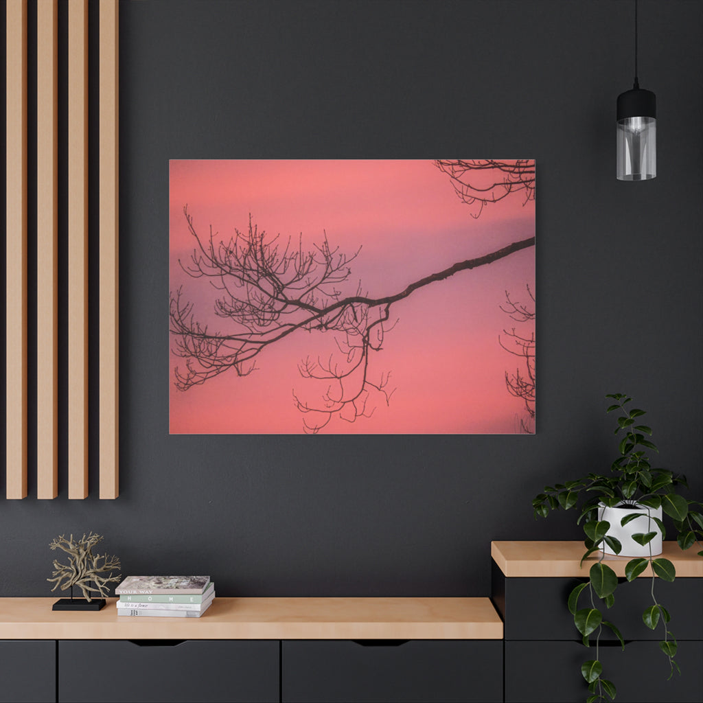 Pink Sunset Tree Canvas Print — Matte Stretched Wall Art