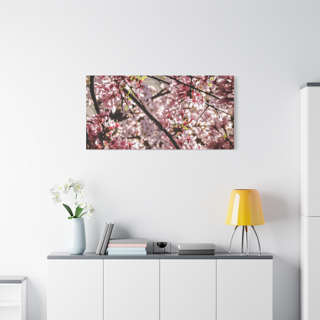 Blossom Cherry Tree Canvas Print – Matte Stretched Wall Art