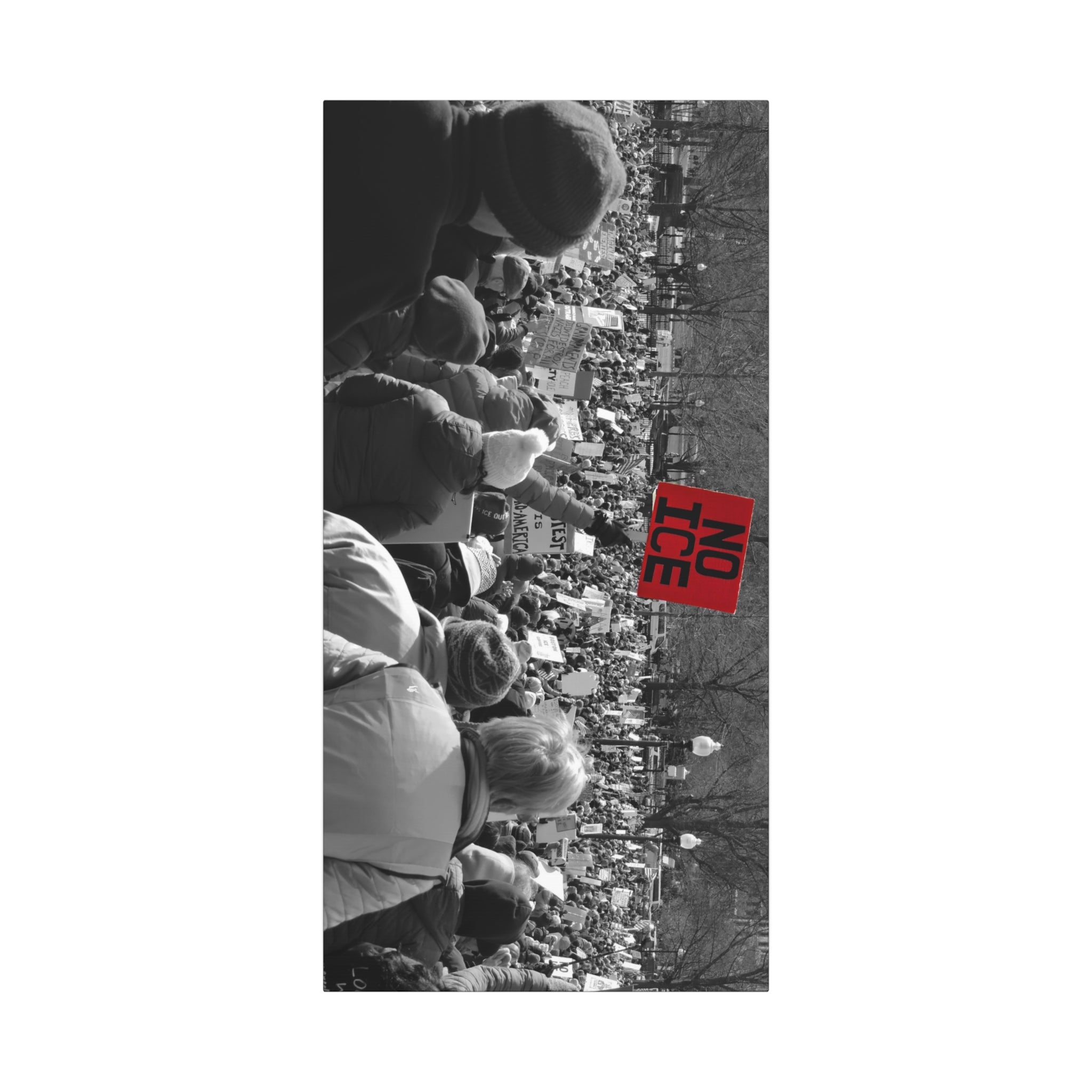 NO ICE Rising Above the Crowd — Matte Humanitarian Canvas