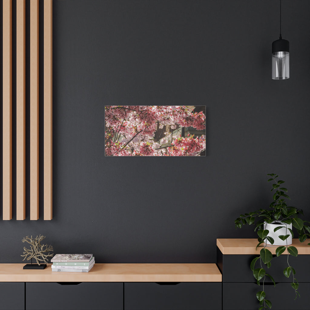 Pink Cherry Blossom Canvas Wall Art — Stretched Matte Floral Print