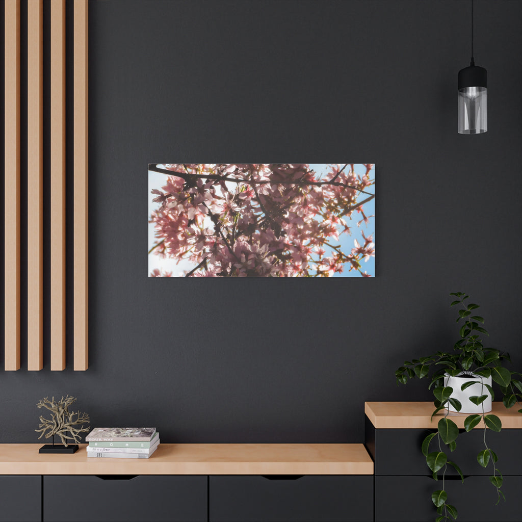 Blossoming Cherry Branches Matte Canvas Print — Spring Floral Wall Art, Stretched 1.25"