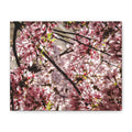 Blossom Cherry Tree Canvas Print – Matte Stretched Wall Art
