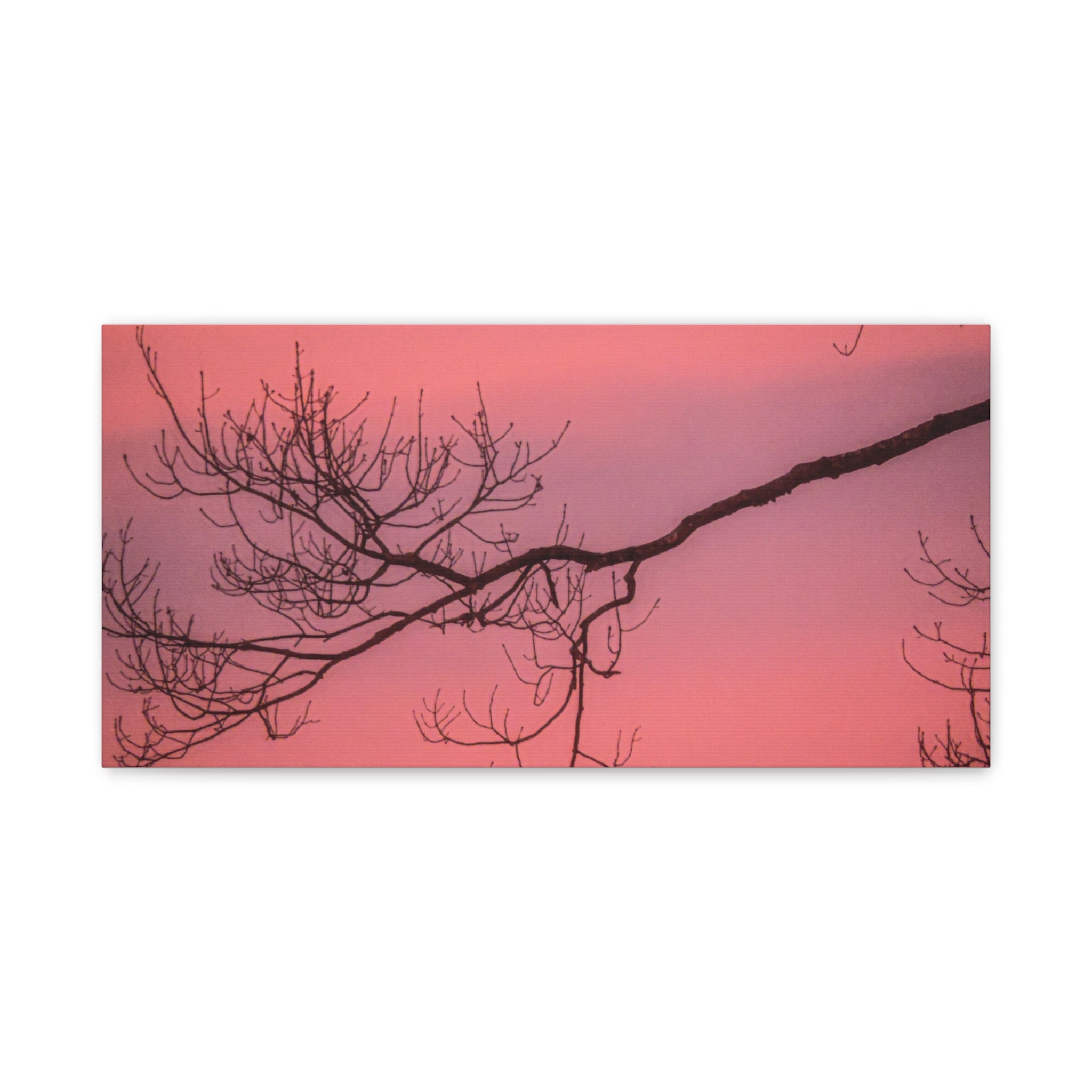 Pink Sunset Tree Canvas Print — Matte Stretched Wall Art