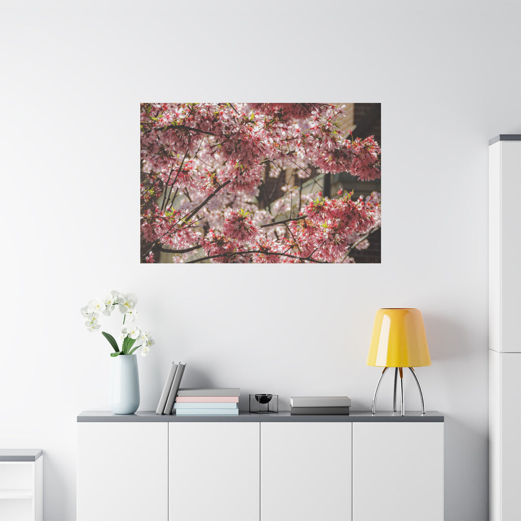Pink Cherry Blossom Canvas Wall Art — Stretched Matte Floral Print