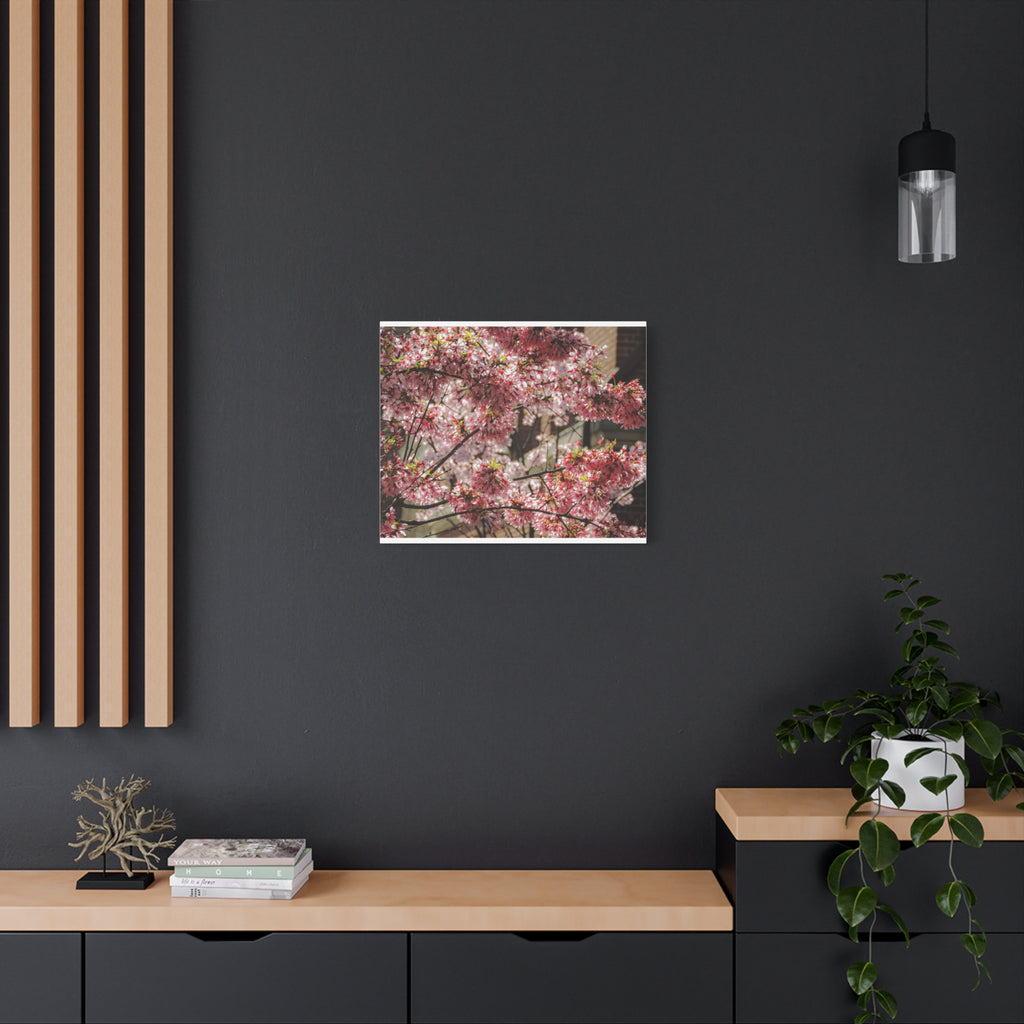 Pink Cherry Blossom Canvas Wall Art — Stretched Matte Floral Print