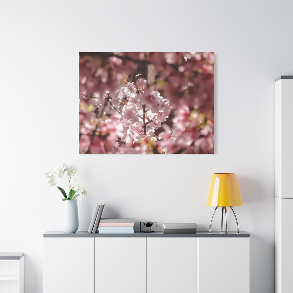 Blush Cherry Blossom Matte Canvas Print — Spring Floral Wall Art (Stretched 1.25")