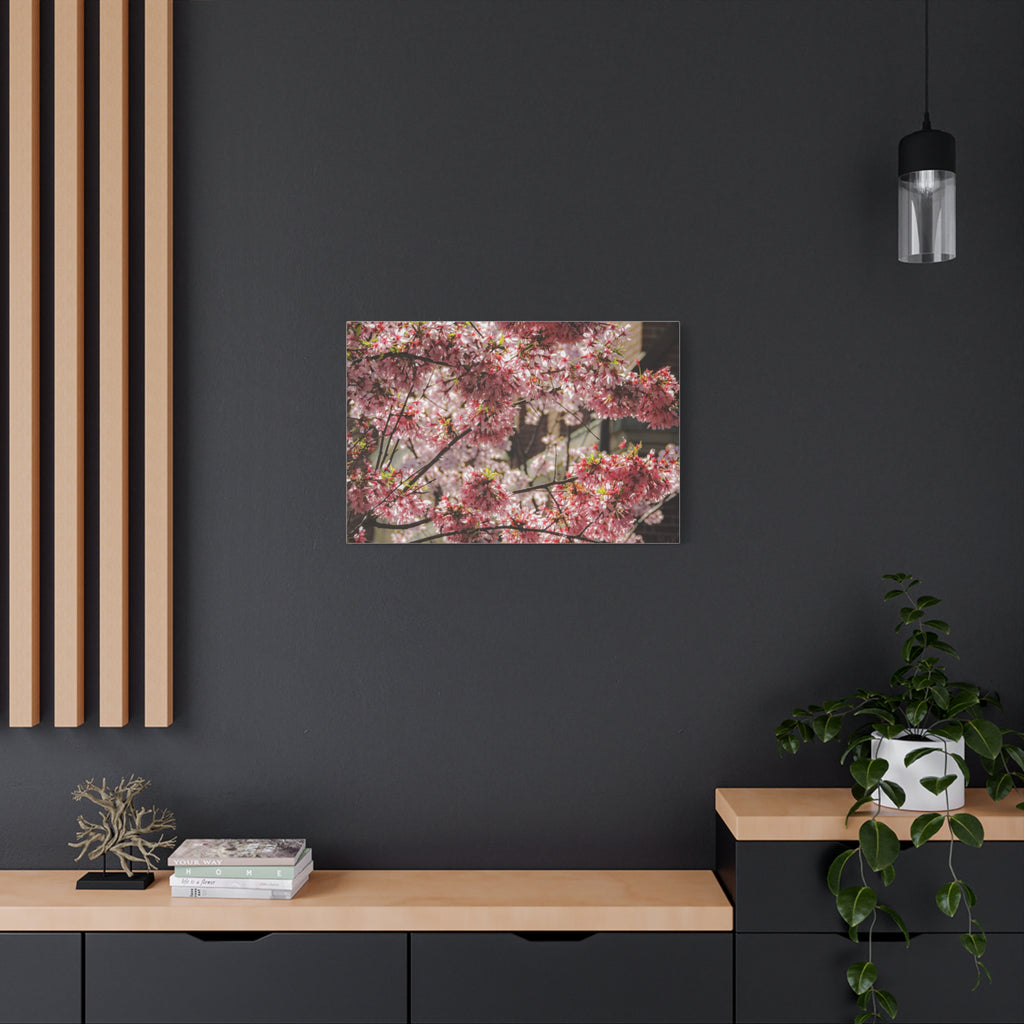 Pink Cherry Blossom Canvas Wall Art — Stretched Matte Floral Print
