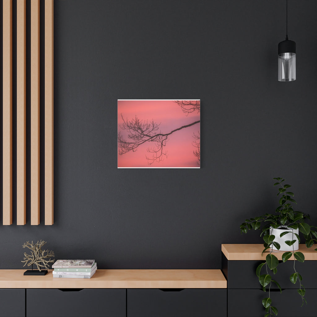 Pink Sunset Tree Canvas Print — Matte Stretched Wall Art