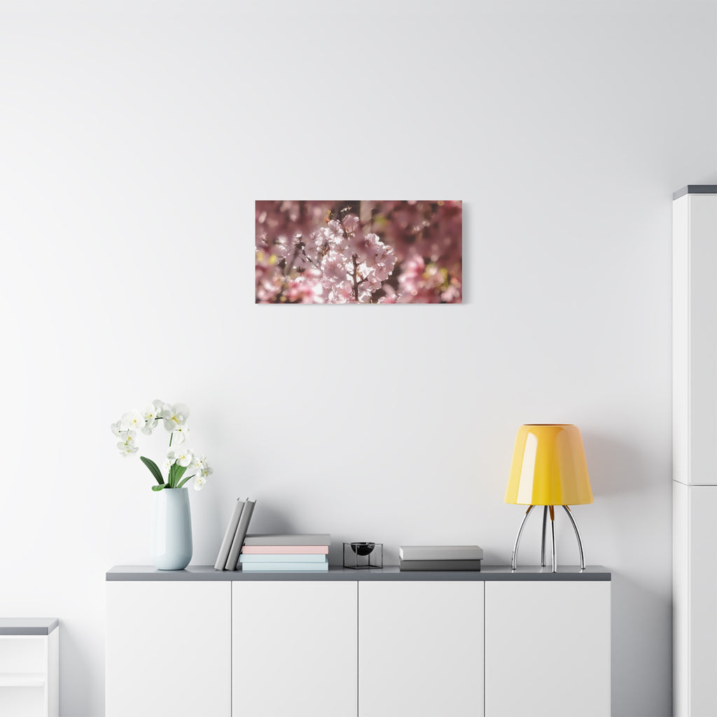 Blush Cherry Blossom Matte Canvas Print — Spring Floral Wall Art (Stretched 1.25")