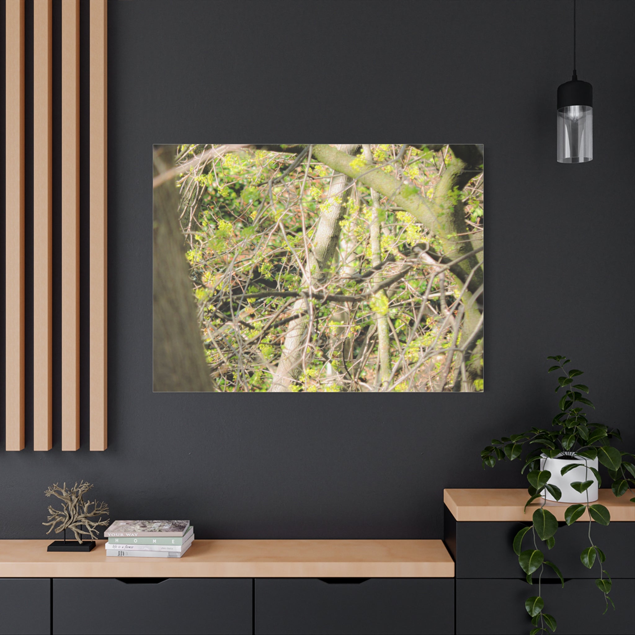 Spring Woodland Canvas Print — Green Tree Branches Matte Stretched Wall Art