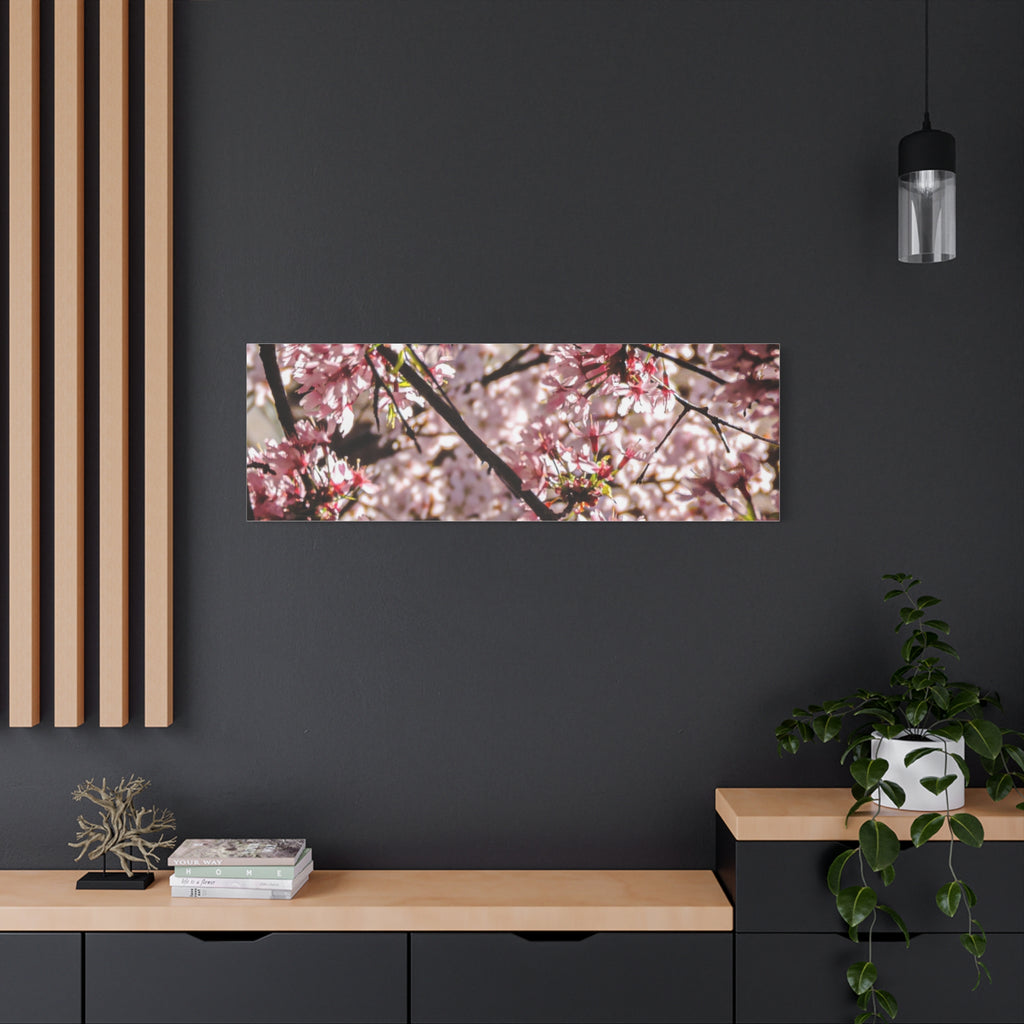 Blossom Cherry Tree Canvas Print – Matte Stretched Wall Art