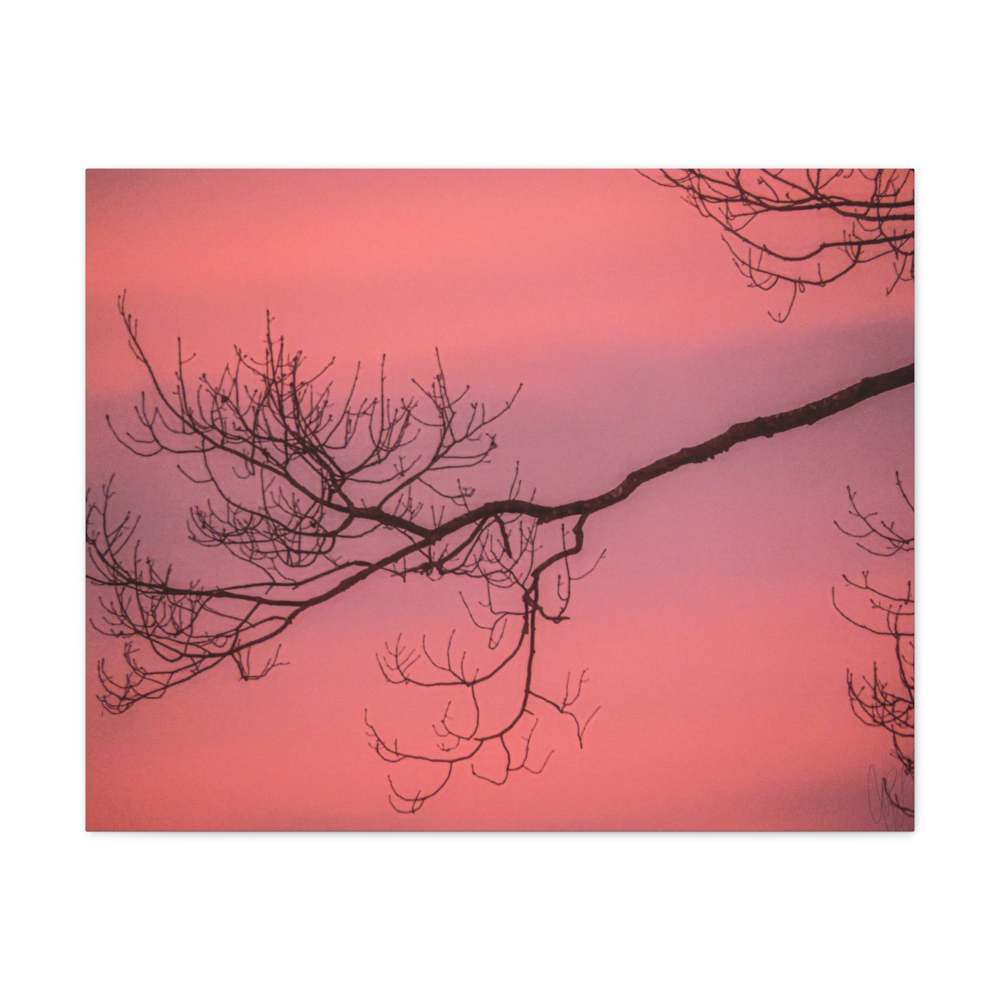 Pink Sunset Tree Canvas Print — Matte Stretched Wall Art