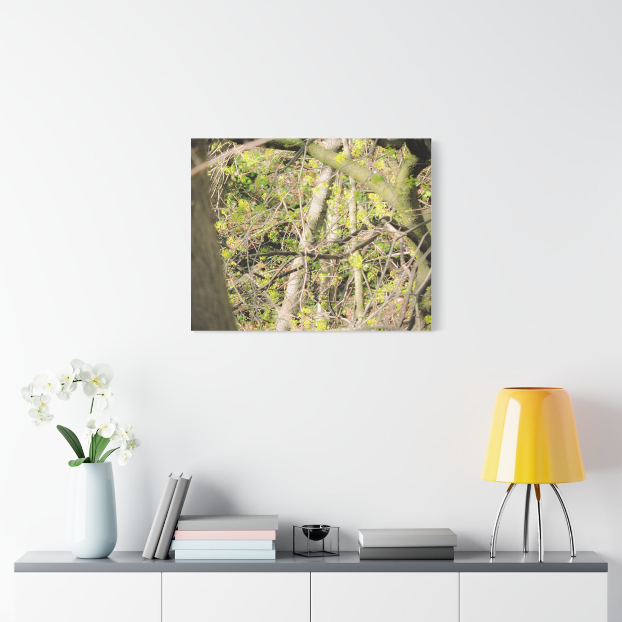 Spring Woodland Canvas Print — Green Tree Branches Matte Stretched Wall Art