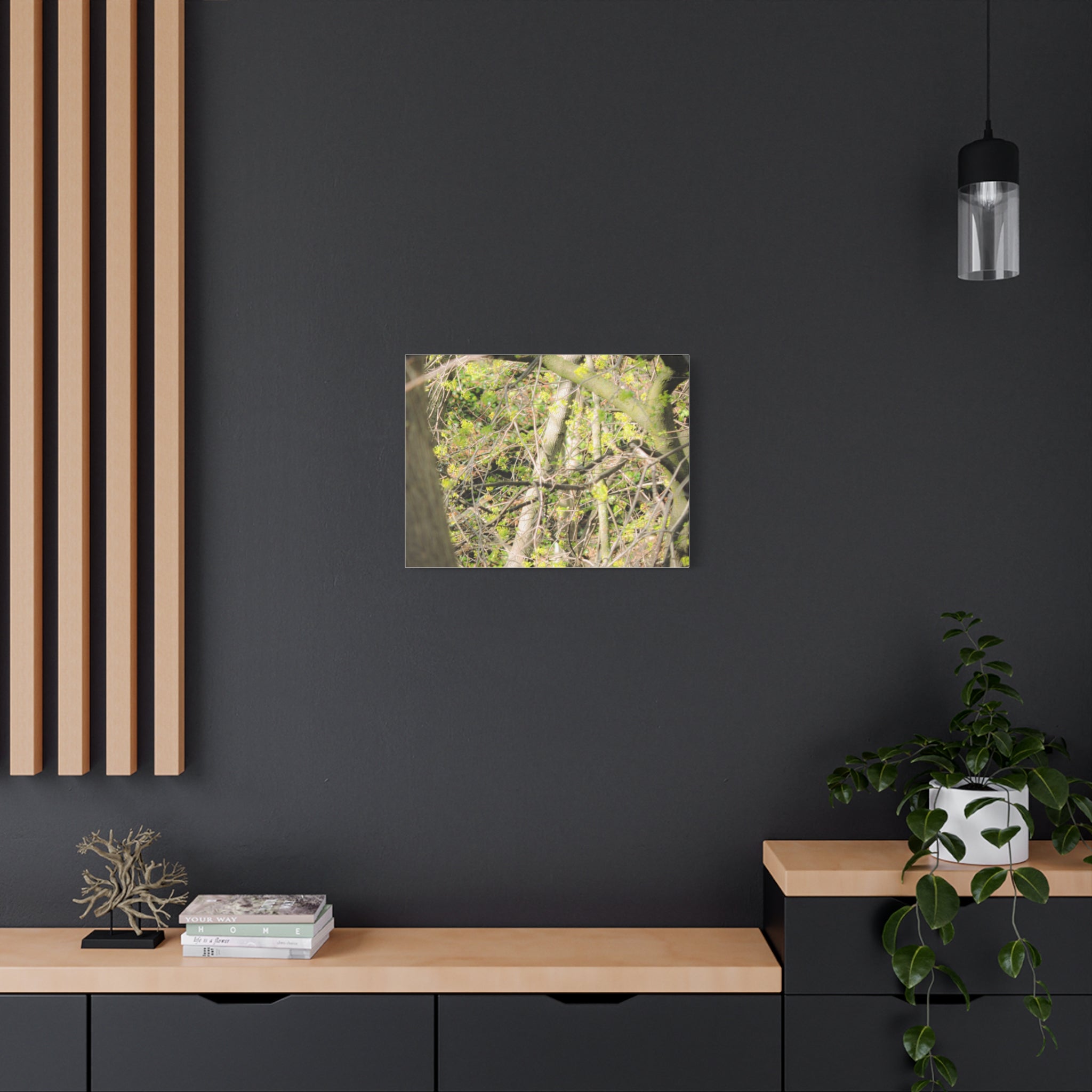 Spring Woodland Canvas Print — Green Tree Branches Matte Stretched Wall Art