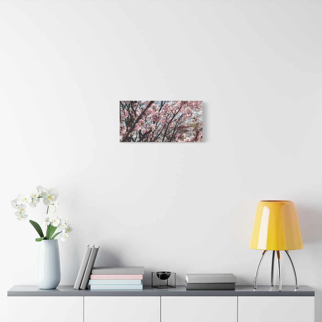 Cherry Blossom Canvas Print — Matte Stretched Wall Art