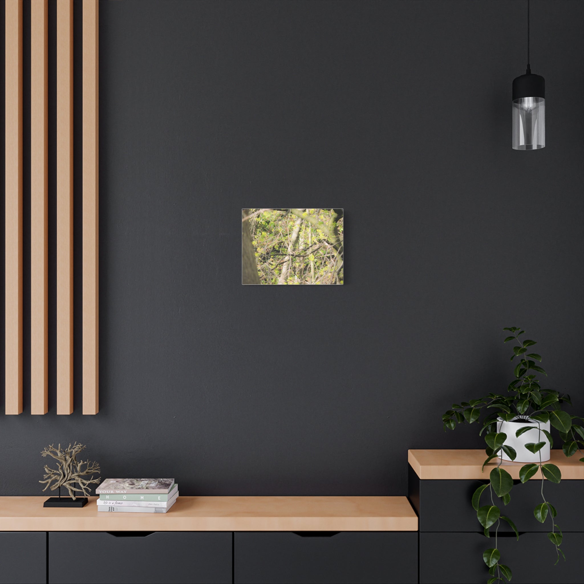 Spring Woodland Canvas Print — Green Tree Branches Matte Stretched Wall Art