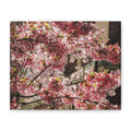 Pink Cherry Blossom Canvas Wall Art — Stretched Matte Floral Print