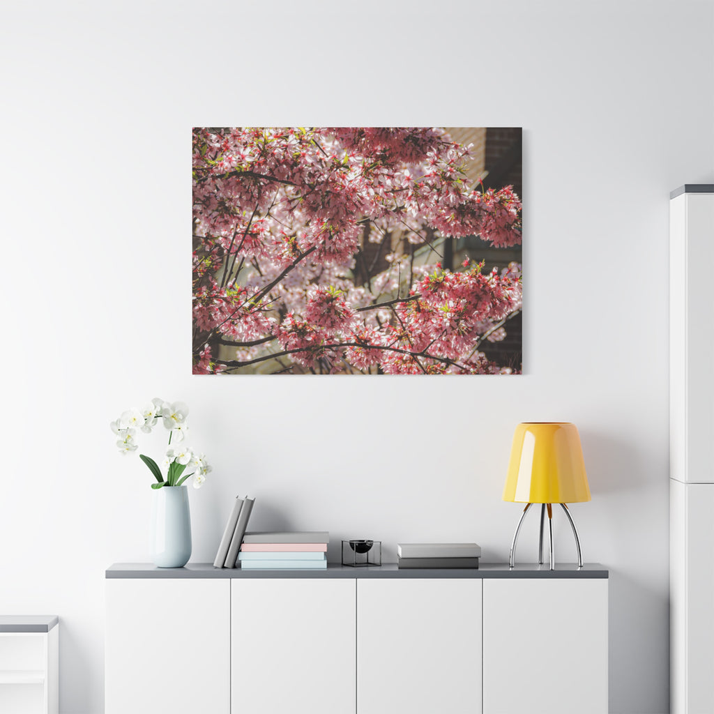 Pink Cherry Blossom Canvas Wall Art — Stretched Matte Floral Print