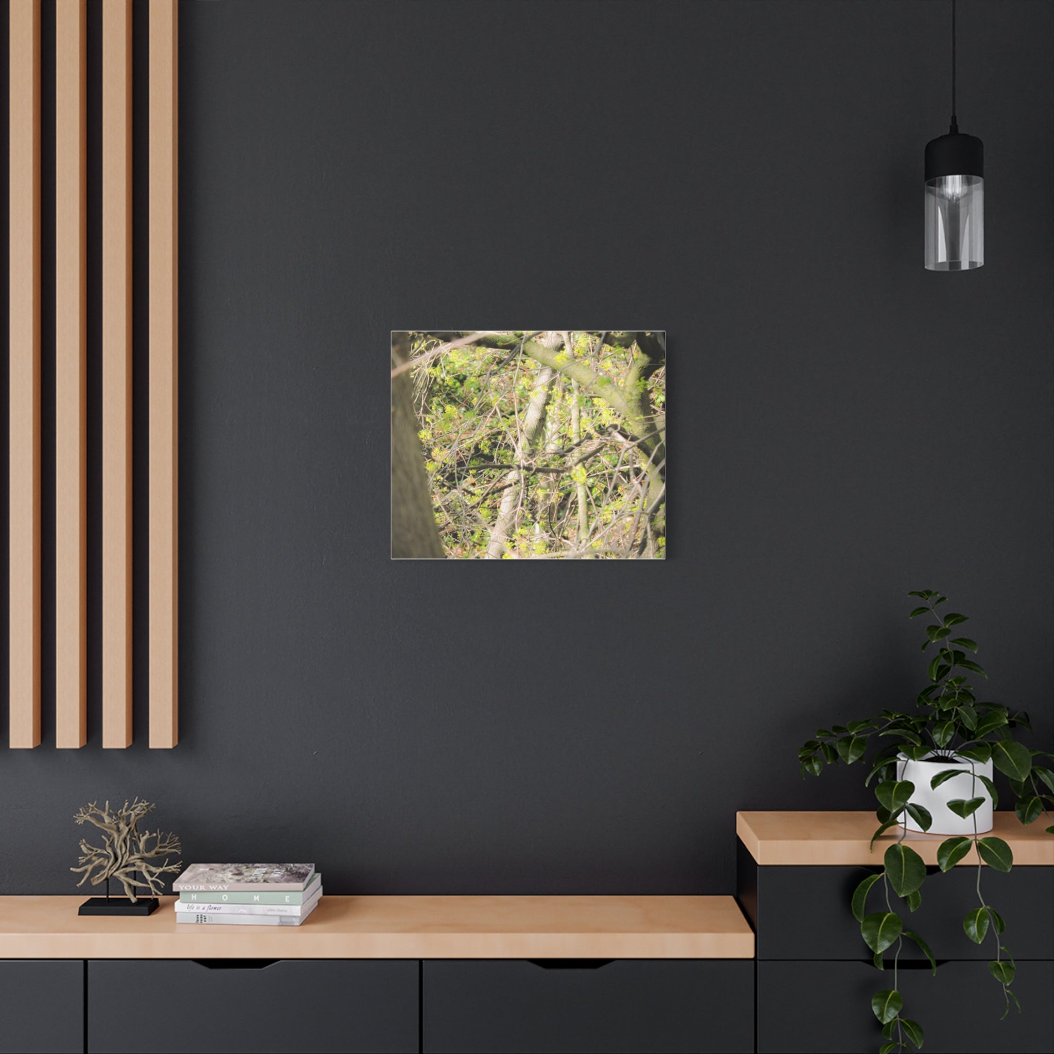 Spring Woodland Canvas Print — Green Tree Branches Matte Stretched Wall Art