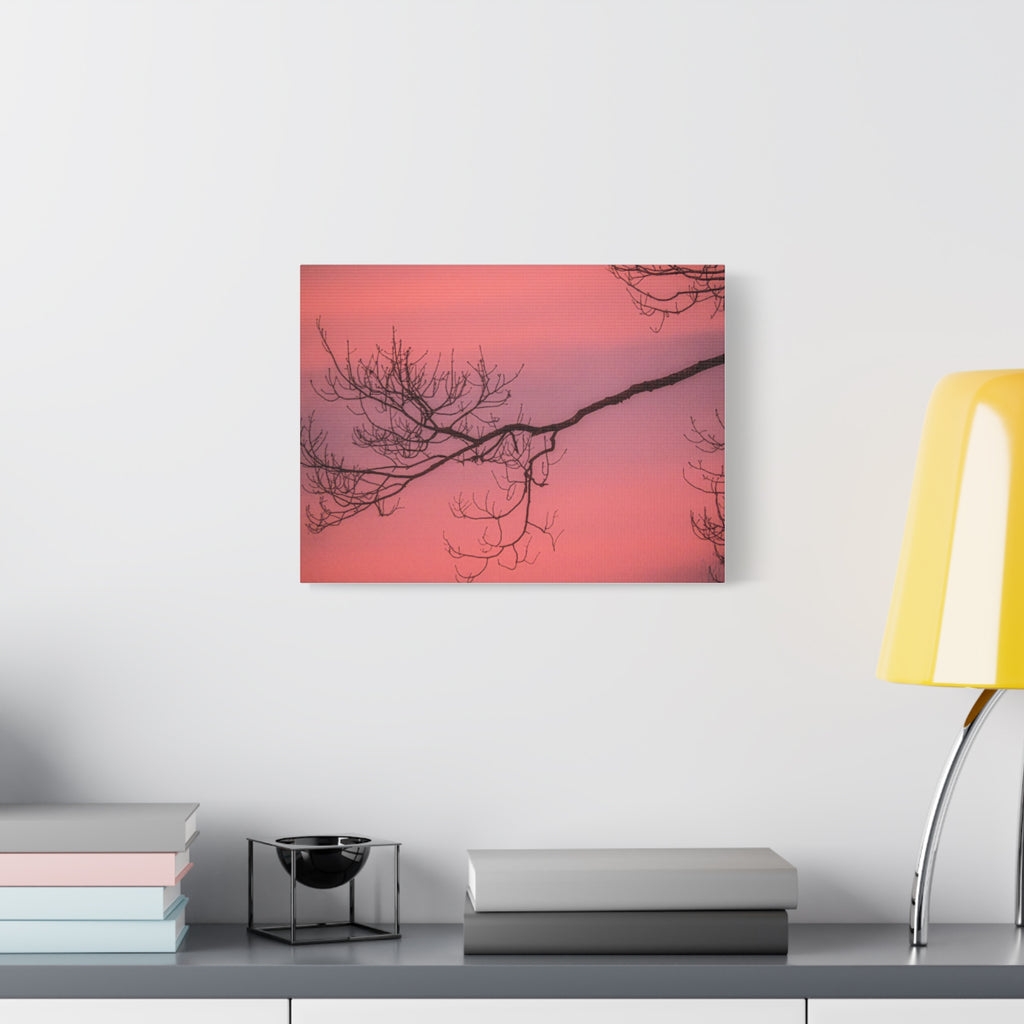 Pink Sunset Tree Canvas Print — Matte Stretched Wall Art